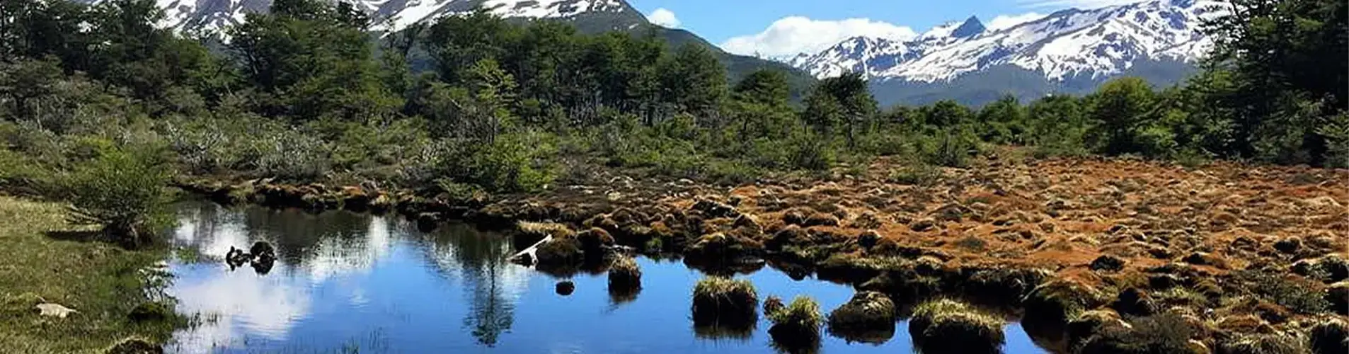 Reserva Natural Cerro Alarkén